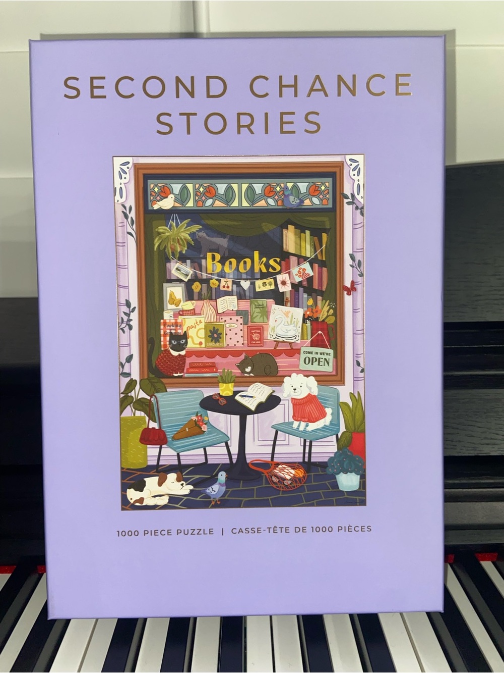 HOBBRY 1000-Piece Jigsaw Puzzle: Second Chance Stories— NEW!